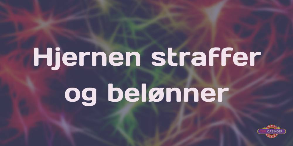 Hjernen straffer og belønner 