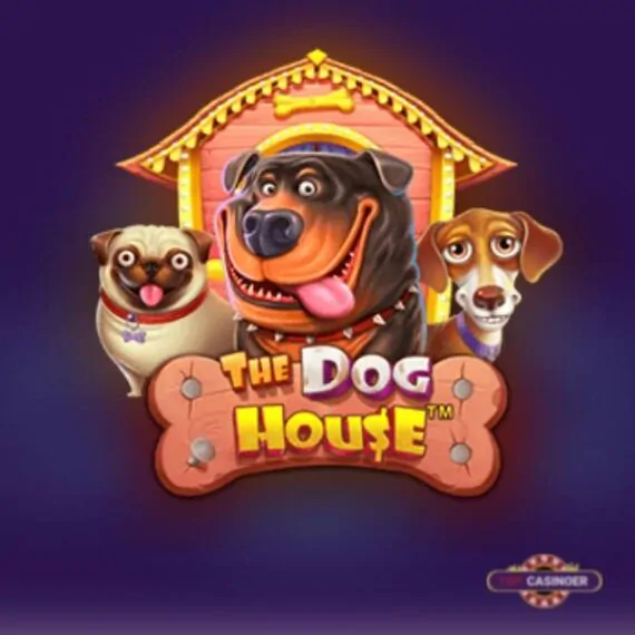 Dog House